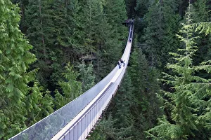 Tourists in Capilano Suspension Bridge and Park, Vancouver, British Columbia Tourists in Capilano Suspension Bridge and Park, Vancouver, British Columbia