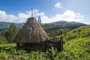 Images Dated 16th June 2016: Traditional house in the mountains, Maubisse, East Timor, Southeast Asia, Asia