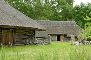 Traditional Lithuanian farmsteads from the Zemaitija region Traditional Lithuanian farmsteads from the Zemaitija region