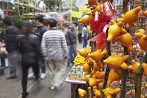 Traditional plant decorations for sale at flower market for Chinese New Year Traditional plant decorations for sale at flower market for Chinese New Year