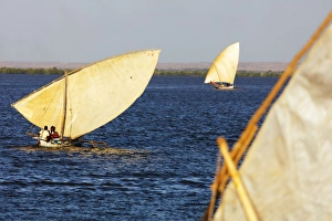 Traditional sail boats, Majunga (Mahajanga), western area, Madagascar, Africa Traditional sail boats, Majunga (Mahajanga), western area, Madagascar, Africa