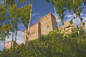 Trifels Castle Prints: Trifels Castle