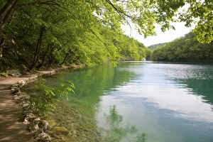 The turquoise waters of Milanovac Lake, Plitvice Lakes National Park (Plitvicka Jezera) The turquoise waters of Milanovac Lake, Plitvice Lakes National Park (Plitvicka Jezera)