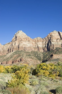 Zion National Park Photography Prints: _TUW7115