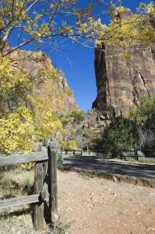 US National Parks To Visit Prints: _TUW7258