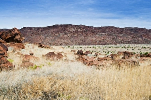 Twyfelfontein, UNESCO World Heritage Site, Damaraland, Kunene Region, Namibia, Africa Twyfelfontein, UNESCO World Heritage Site, Damaraland, Kunene Region, Namibia, Africa