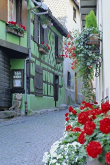 European Village Homes Prints: Typical green timbered house and windowboxes, Riquewihr, Haut-Rhin, Alsace