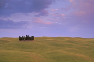 Rolling Hills Italy Prints: Typical landscape