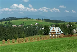 Typical Polish landscape near Zakopane in the Tatra Mountains Typical Polish landscape near Zakopane in the Tatra Mountains