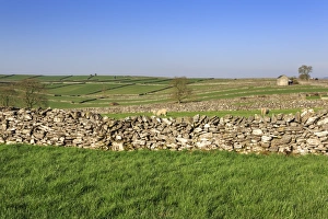 Typical Spring Landscape Print of Barn and Hills