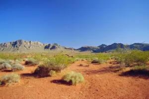 Valley Of Fire State Park Prints: Valley of Fire State Park