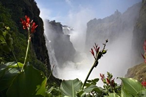 Victoria Falls, UNESCO World Heritage Site, Zimbabwe, Africa Victoria Falls, UNESCO World Heritage Site, Zimbabwe, Africa