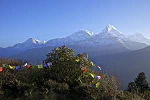 View of Annapurna I and Annapurna South from Poon Hill at dawn, with Buddhist prayer flags View of Annapurna I and Annapurna South from Poon Hill at dawn, with Buddhist prayer flags