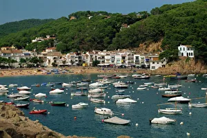 Prints of View across bay to village and beach, Tamariu, Costa Brava, Gerona, Cataluna, Spain, Mediterranean, Europe Related Image Prints: Tamariu Village and Beach Print