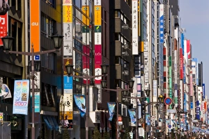 Honshu Island Japan Prints: View along Chuo-dori