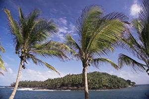 Devils Island Prison Prints: View to Devils Island
