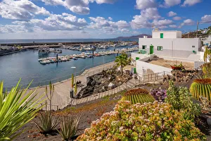 Canary Islands Coastal Scenery Prints: View of harbour from elevated position