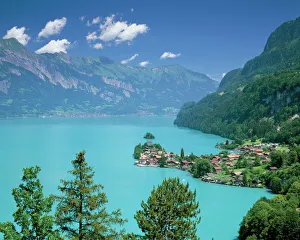 Prints of View over Lake Brienz to Iseltwald, Switzerland, Europe Switzerland Prints: Lake Brienz to Iseltwald Print