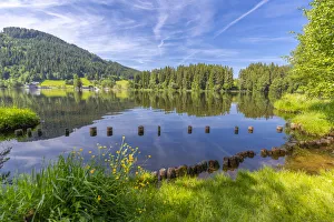 Schwarzsee Reflections Print