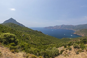 Top view of turquoise sea and bay framed by green vegetation on the promontory, Porto Top view of turquoise sea and bay framed by green vegetation on the promontory, Porto
