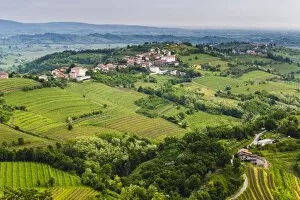 Images Dated 30th April 2014: Vineyard countryside surrounding Kozana, Goriska Brda (Gorizia Hills), Slovenia, Europe