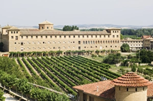 Images Dated 8th January 2000: Vineyard and Monastery Print, Olite, Navarra, Spain