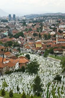 Bosnia and Herzegovina Collection: War cemetery, Sarajevo, Bosnia, Bosnia-Herzegovina, Europe