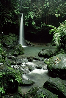 Central America Waterfalls Prints: Waterfall flowing into the Emerald Pool, Dominica, West Indies, Central America
