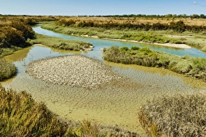 Waterways and cracked mud in the salt marshes of the islands west, near Le Griveau Waterways and cracked mud in the salt marshes of the islands west, near Le Griveau