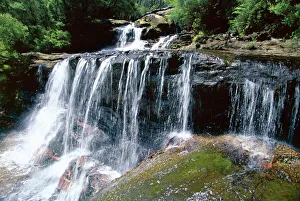 Wentworth Falls, Blue Mountains, New South Wales (NSW), Australia, Pacific Wentworth Falls, Blue Mountains, New South Wales (NSW), Australia, Pacific