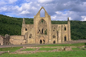 European Ruin Photography Prints: West Front