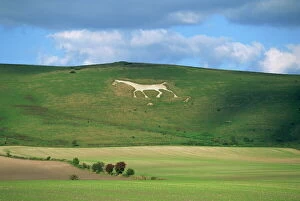 Horse Collection: White horse dating from 1812 carved in chalk on Milk Hill, Marlborough Downs