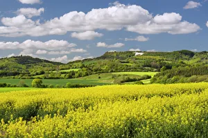 The White Horse of Kilburn, The North Yorkshire Moors, Yorkshire, England, United Kingdom The White Horse of Kilburn, The North Yorkshire Moors, Yorkshire, England, United Kingdom