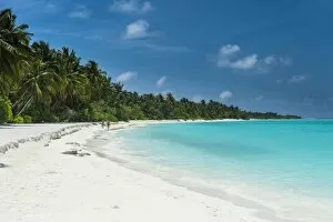 Images Dated 28th February 2017: White sand beach and turquoise water, Sun Island Resort, Nalaguraidhoo island, Ari atoll