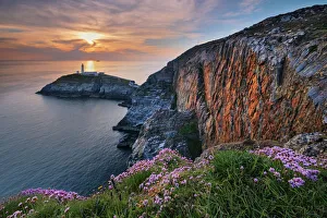 South Stack Lighthouse Print - Sunset Cliffs with Wildflowers