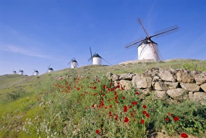 Rural Spain Photography Prints: Windmills in Consuegra