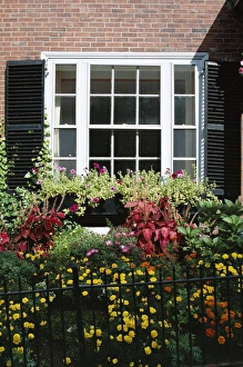 Contemporary American Architecture Style Prints: Window and small garden