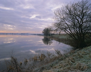 Prints of Winter fenland scene, Whittlesey, near Peterborough, Cambridgeshire, England, UK, Europe Peterborough Prints: Winter Fenland Scene Print