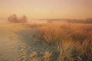 Winter landscape looking towards Pen Ponds at sunrise in Richmond Park Winter landscape looking towards Pen Ponds at sunrise in Richmond Park