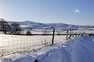Yorkshire Dales Scenic Views Prints: Winter view of snow covered fields, Wensleydale, Yorkshire Dales National Park