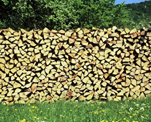 Wood pile, flower meadow, Swabian Alb, Baden Wurttemberg, Germany, Europe Wood pile, flower meadow, Swabian Alb, Baden Wurttemberg, Germany, Europe