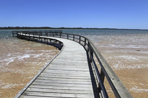 Wooden jetty for viewing Thrombolites in Lake Clifton, Yalgorup National Park, Western Australia, Australia, Pacific Wooden jetty for viewing Thrombolites in Lake Clifton, Yalgorup National Park, Western Australia, Australia, Pacific