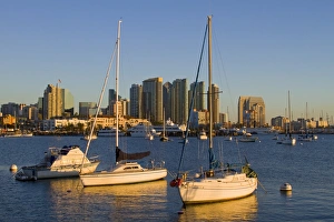 Yachts and San Diego skyline, California, United States of America, North America Yachts and San Diego skyline, California, United States of America, North America