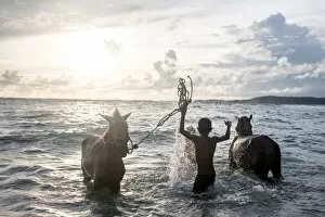 Images Dated 10th March 2013: Two young boys and their horses play in the ocean in Nihiwatu, Sumba, Indonesia, Southeast Asia