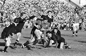 David Irwin - 1983 British Lions Tour to New Zealand David Irwin - 1983 British Lions Tour to New Zealand