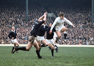 Englands Peter Warfield - 1975 Five Nations Englands Peter Warfield - 1975 Five Nations