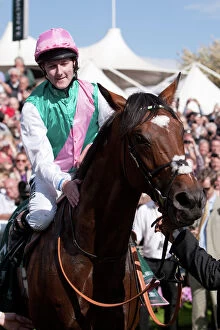 Images Dated 22nd August 2012: Frankel at the 2012 Ebor Festival