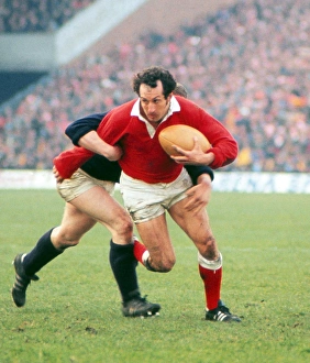 Gareth Edwards takes on Scotland - 1977 Five Nations (portrait) Gareth Edwards takes on Scotland - 1977 Five Nations (portrait)