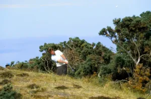 St Andrews Prints: Tom Watson plays from deep rough - 1984 Open Championship Golf Print
