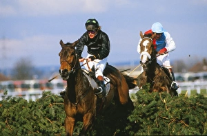 Hallo Dandy, ridden by Neale Doughty, on the way to winning the 1984 Grand National Hallo Dandy, ridden by Neale Doughty, on the way to winning the 1984 Grand National